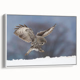 Framed wall art featuring a vibrant birds of prey design on textured canvas, showcasing detailed illustrations and a sleek white frame for modern decor.