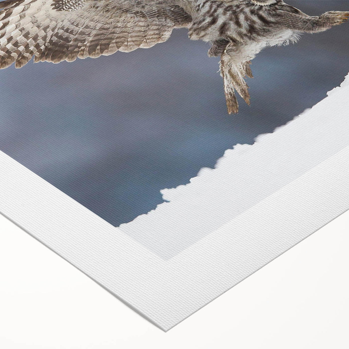 Rolled canvas showcasing a vibrant birds of prey design, featuring intricate details and vivid colors, ideal for enhancing home decor and artistic expression.
