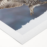 Rolled canvas showcasing a vibrant birds of prey design, featuring intricate details and vivid colors, ideal for enhancing home decor and artistic expression.