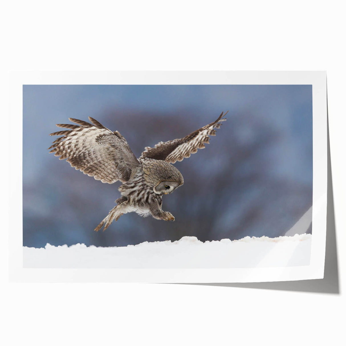 Colorful wall art print showcasing a vibrant bird-themed design, featuring intricate details of various bird species against a textured background, ideal for home decor.