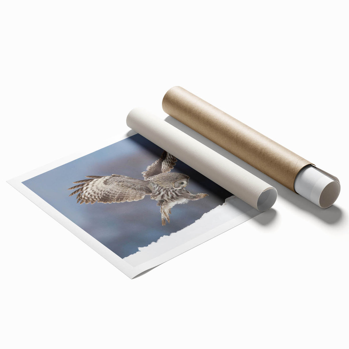 Vibrant rolled print showcasing a detailed design of birds in flight, featuring bold colors and intricate patterns, ideal for home decor or art collection.