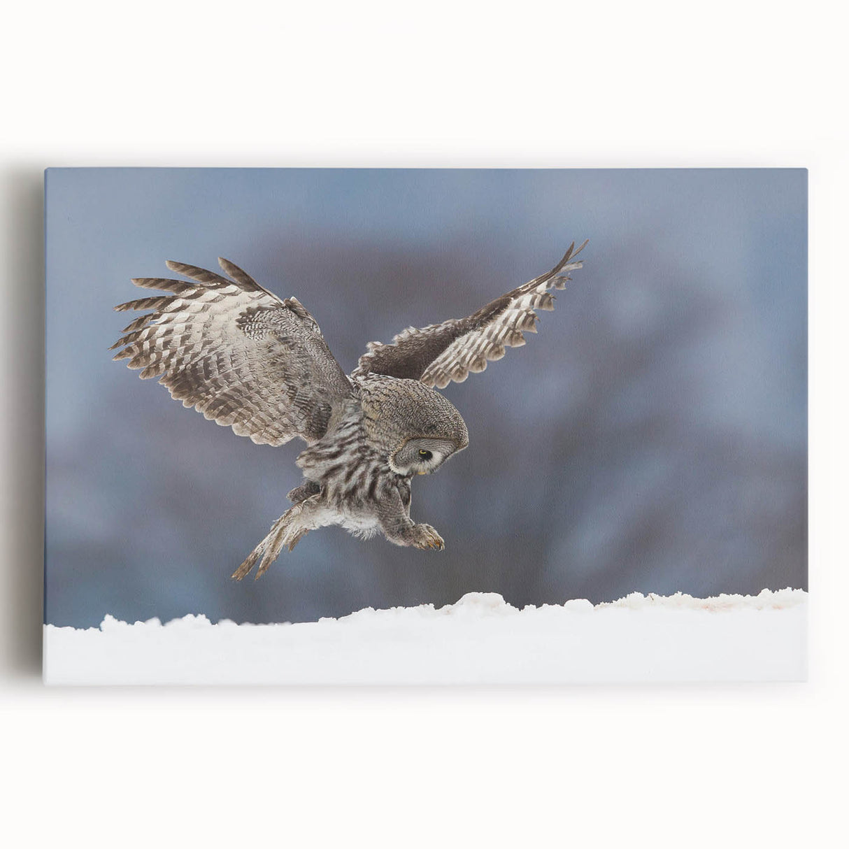 Colorful stretched canvas featuring a vibrant birds of prey design, showcasing detailed illustrations of majestic birds in flight against a textured background.