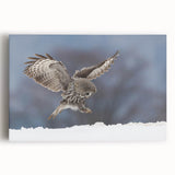 Colorful stretched canvas featuring a vibrant birds of prey design, showcasing detailed illustrations of majestic birds in flight against a textured background.