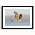 Framed wall art featuring a striking black and white design of birds of prey, showcased in a sleek black frame with a mat, perfect for modern decor.