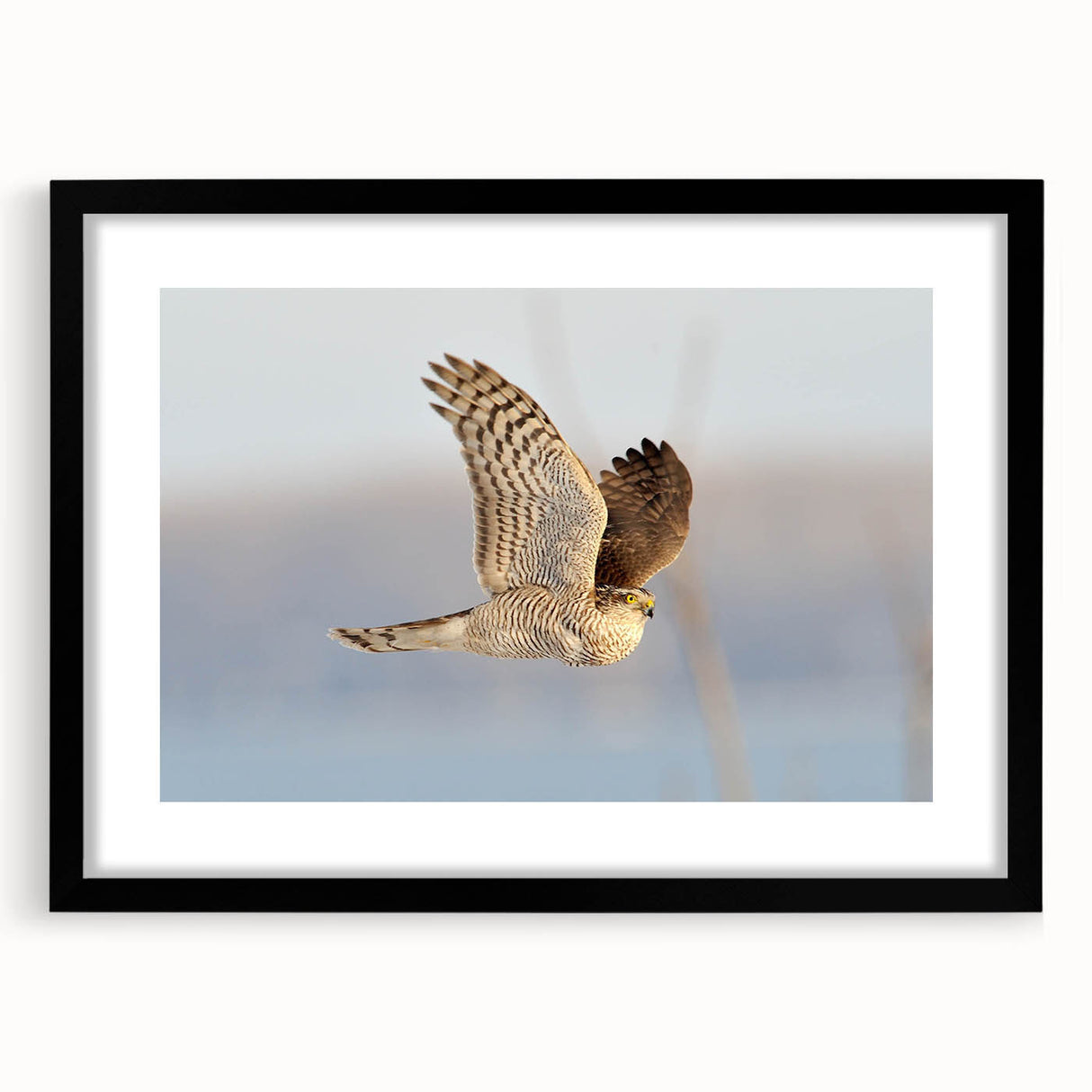Framed wall art featuring a striking black and white design of birds of prey, showcased in a sleek black frame with a mat, perfect for modern decor.