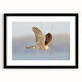 Framed wall art featuring a striking black and white design of birds of prey, showcased in a sleek black frame with a mat, perfect for modern decor.