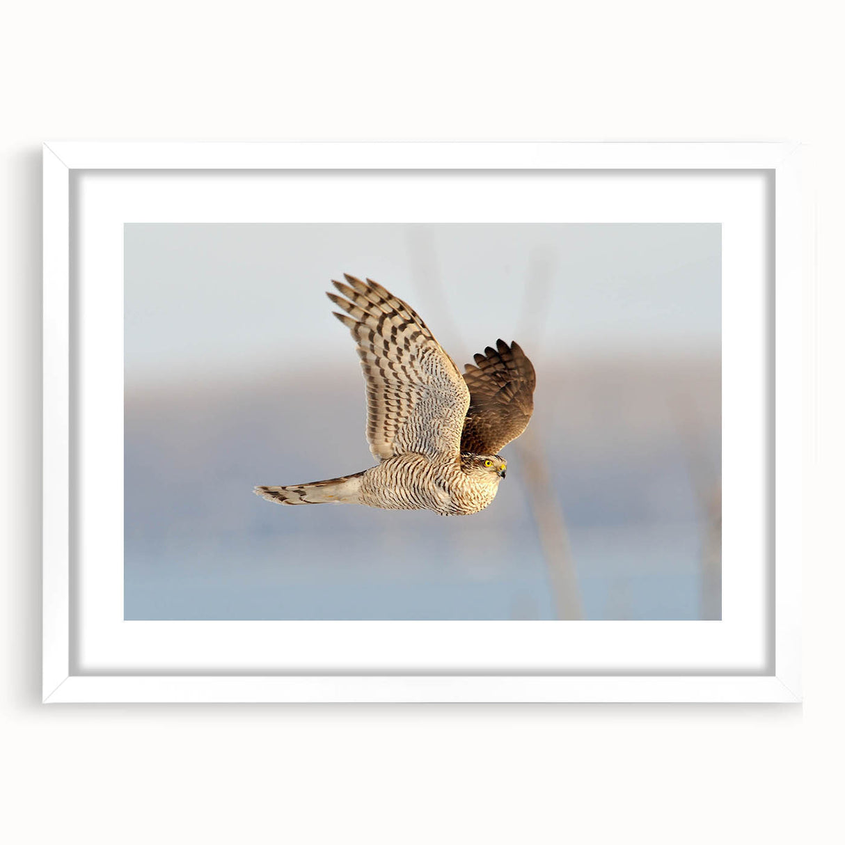 Framed wall art featuring a minimalist design of birds in flight, set against a white mat and frame, perfect for contemporary home decor. Ideal for enhancing living spaces with a touch of nature.