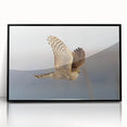 Framed acrylic wall art showcasing a striking design of birds, featuring a sleek black frame and vibrant colors, ideal for enhancing modern home decor.