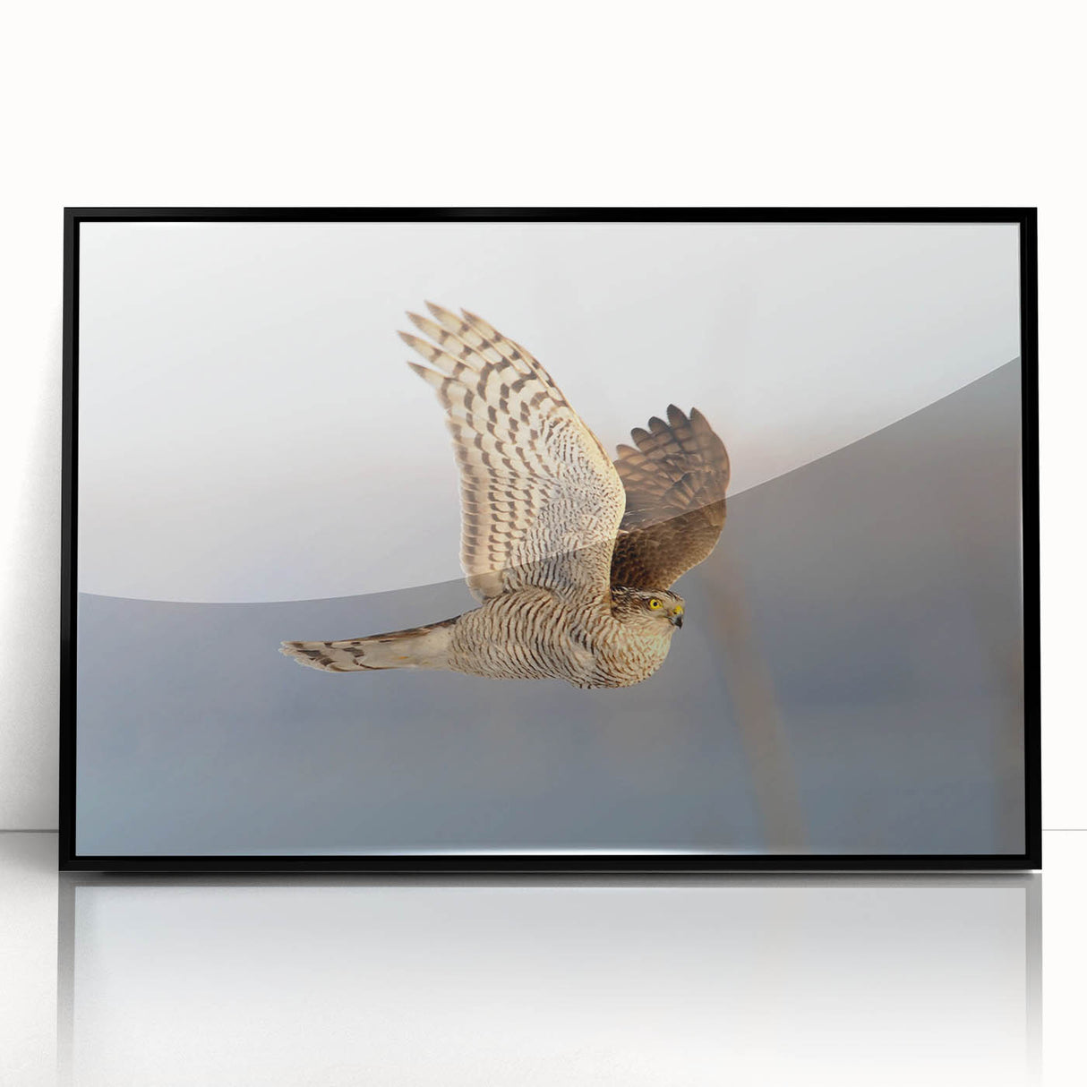 Framed acrylic wall art showcasing a striking design of birds, featuring a sleek black frame and vibrant colors, ideal for enhancing modern home decor.