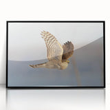 Framed acrylic wall art showcasing a striking design of birds, featuring a sleek black frame and vibrant colors, ideal for enhancing modern home decor.