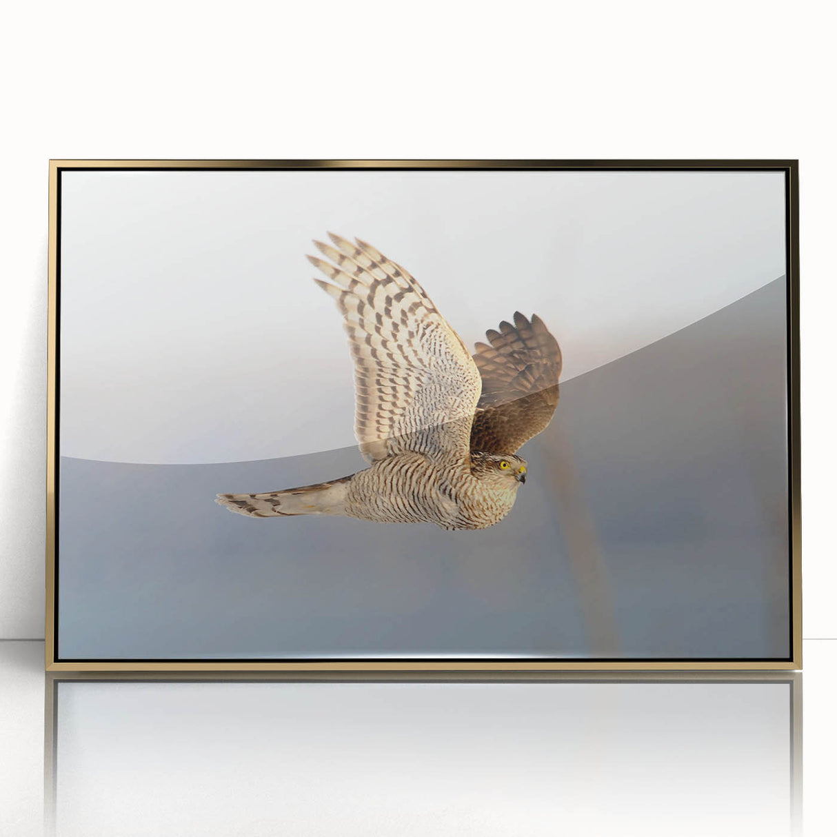 Framed acrylic wall art featuring a vibrant collection of colorful birds, with a sleek gold frame, perfect for enhancing modern decor in any room setting.