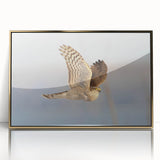 Framed acrylic wall art featuring a vibrant collection of colorful birds, with a sleek gold frame, perfect for enhancing modern decor in any room setting.