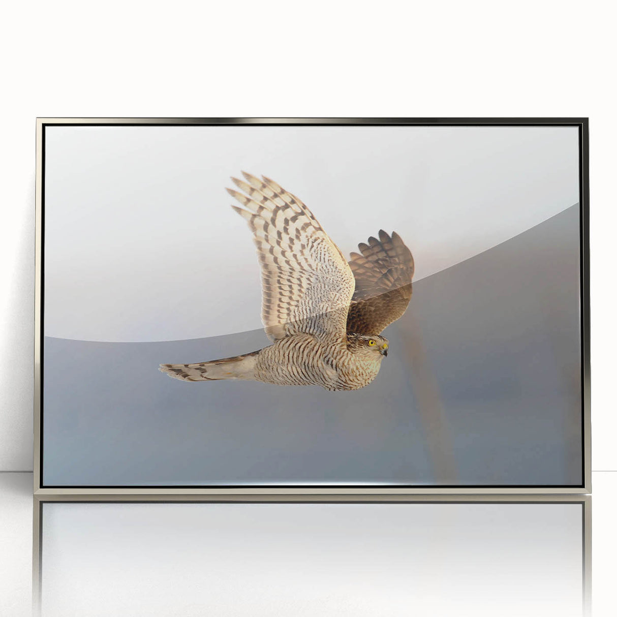 Framed acrylic wall art featuring a striking "Birds of Prey" design, showcasing intricate details and vibrant colors, perfect for home decor.