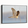 Framed canvas wall art featuring a stylized bird design in black, showcasing intricate details and textures, perfect for modern home decor.