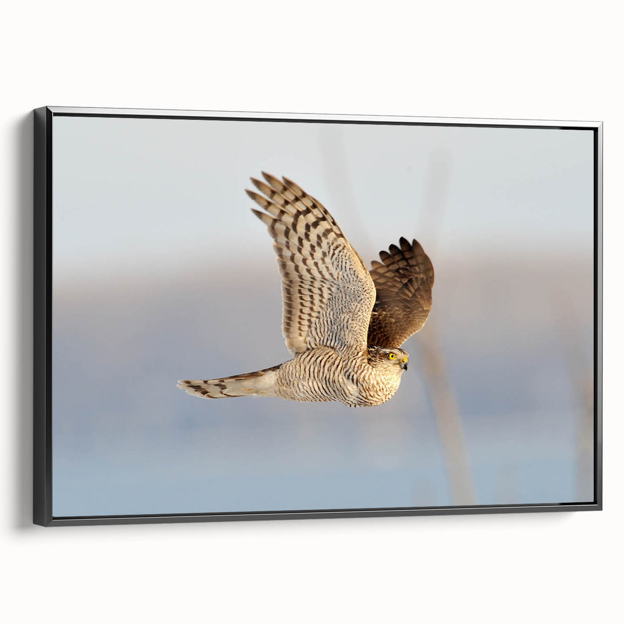 Framed canvas wall art featuring a stylized bird design in black, showcasing intricate details and textures, perfect for modern home decor.