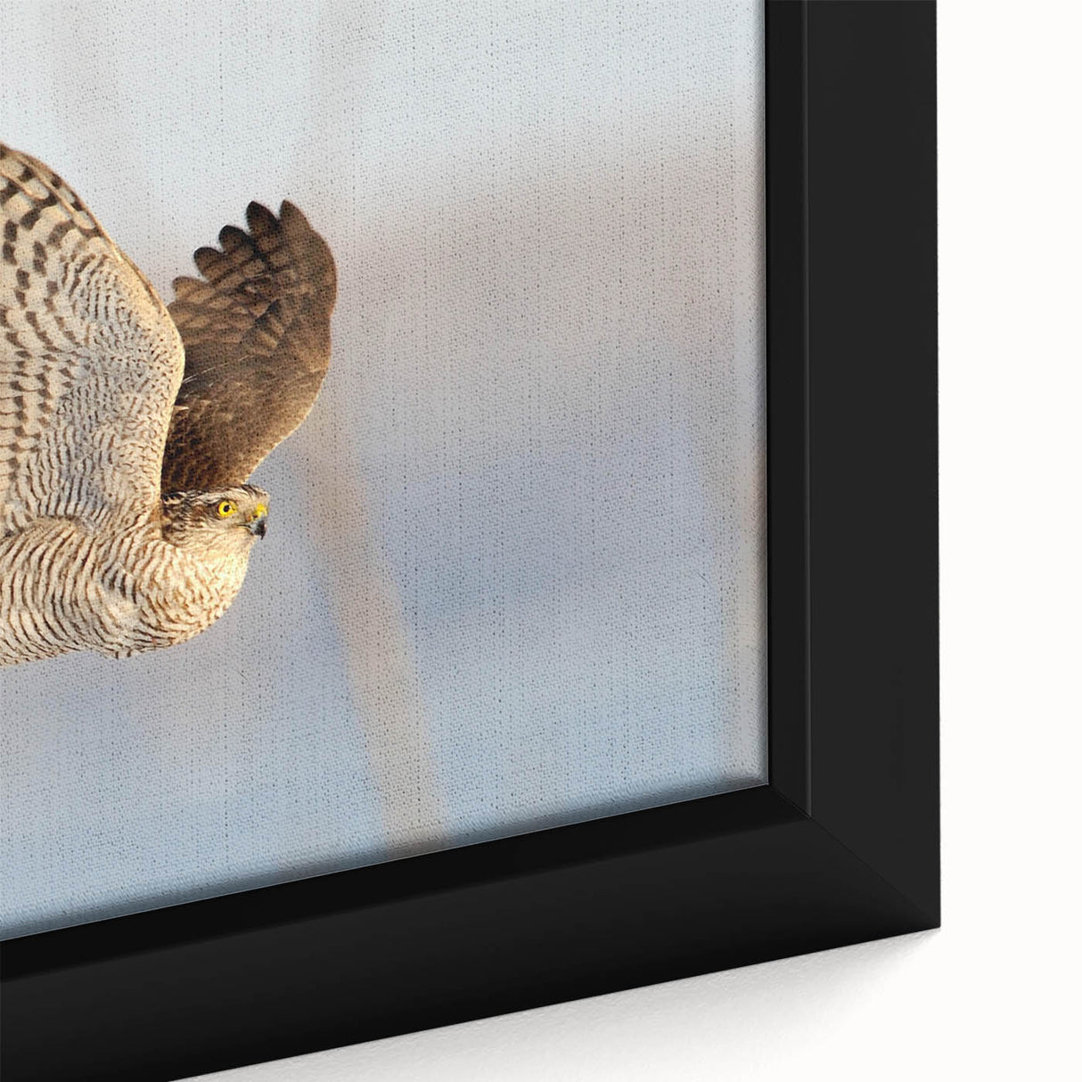 Close-up of a framed canvas wall art piece showcasing a vibrant design of various birds, featuring intricate details and rich colors, ideal for home decor.