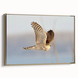 Framed canvas wall art featuring a vibrant birds of prey design, showcasing intricate details and a gold frame, ideal for enhancing home decor.