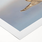 Rolled canvas wall art featuring a vibrant design of various birds, showcasing rich colors and intricate details, ideal for home decor and nature lovers.