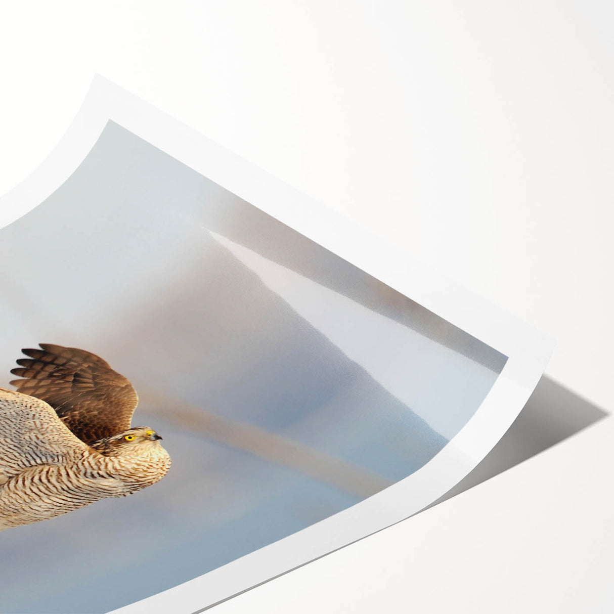 Vibrant wall art print featuring an intricate design of birds in flight, showcasing colorful details against a soft background, rolled and ready for display.