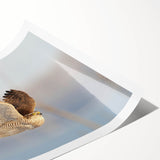 Vibrant wall art print featuring an intricate design of birds in flight, showcasing colorful details against a soft background, rolled and ready for display.