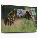 Acrylic glass wall art featuring a vibrant bird design from the "Birds of Pray" collection, displayed from a side view with decorative pins. Ideal for modern decor.