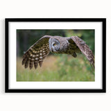 Framed wall art featuring a detailed design of birds of prey, showcasing intricate illustrations in natural colors against a black mat, perfect for nature enthusiasts.