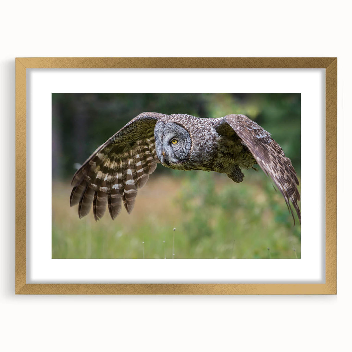 Framed wall art featuring a stunning gold mat and bird design, ideal for home decor. The stylish piece showcases intricate details, adding elegance to any room.