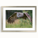 Framed wall art showcasing a vibrant "Birds of Prey" design with a sleek silver mat, ideal for enhancing modern home decor and art collection displays.