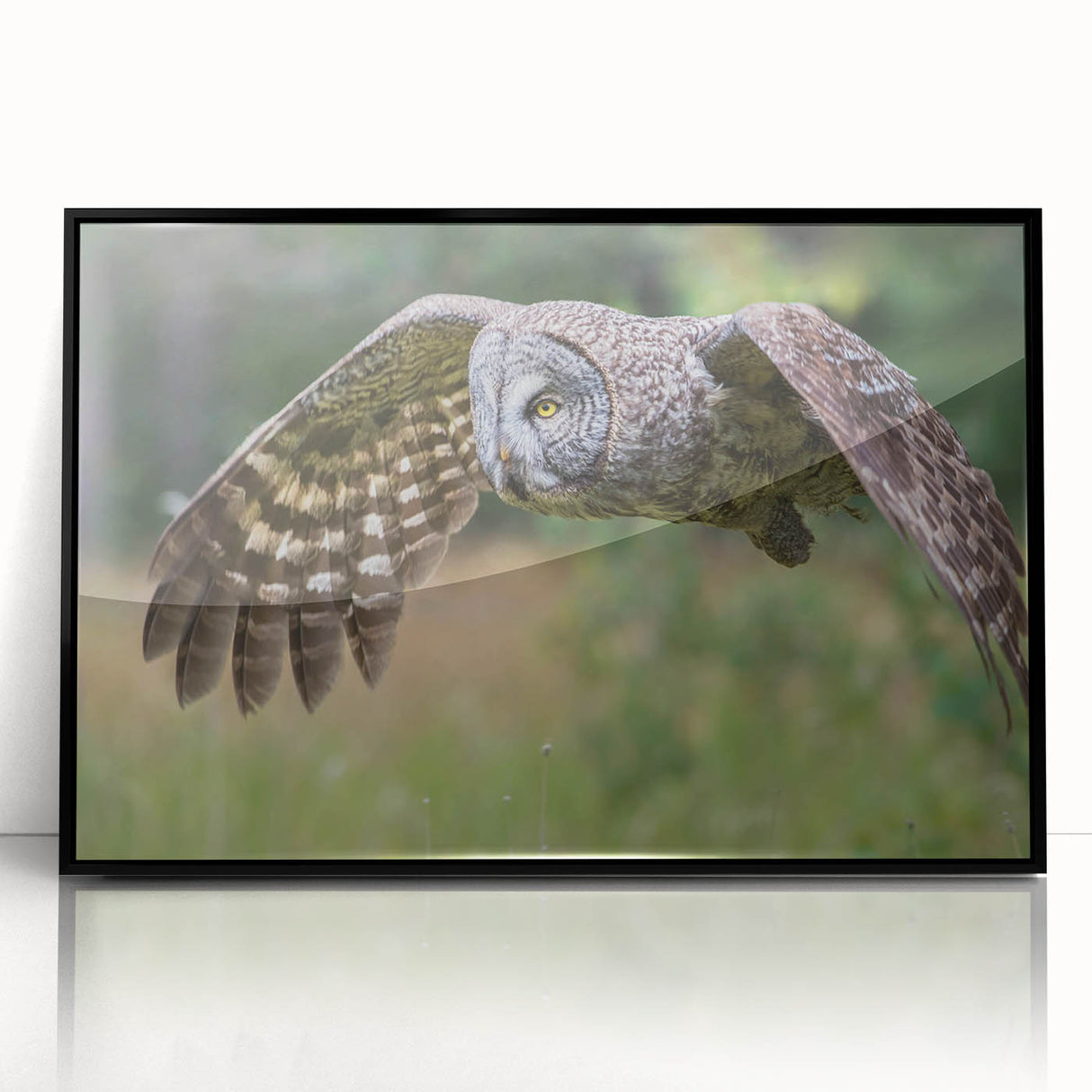 Framed wall art featuring a striking black acrylic design of birds in flight from the "Birds of Pray" collection, showcasing intricate details and modern aesthetics. Ideal for enhancing contemporary home decor.