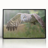 Framed wall art featuring a striking black acrylic design of birds in flight from the "Birds of Pray" collection, showcasing intricate details and modern aesthetics. Ideal for enhancing contemporary home decor.