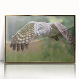 Framed acrylic wall art featuring a vibrant "Birds of Pray" design with gold accents, showcasing a striking visual appeal for modern home decor.
