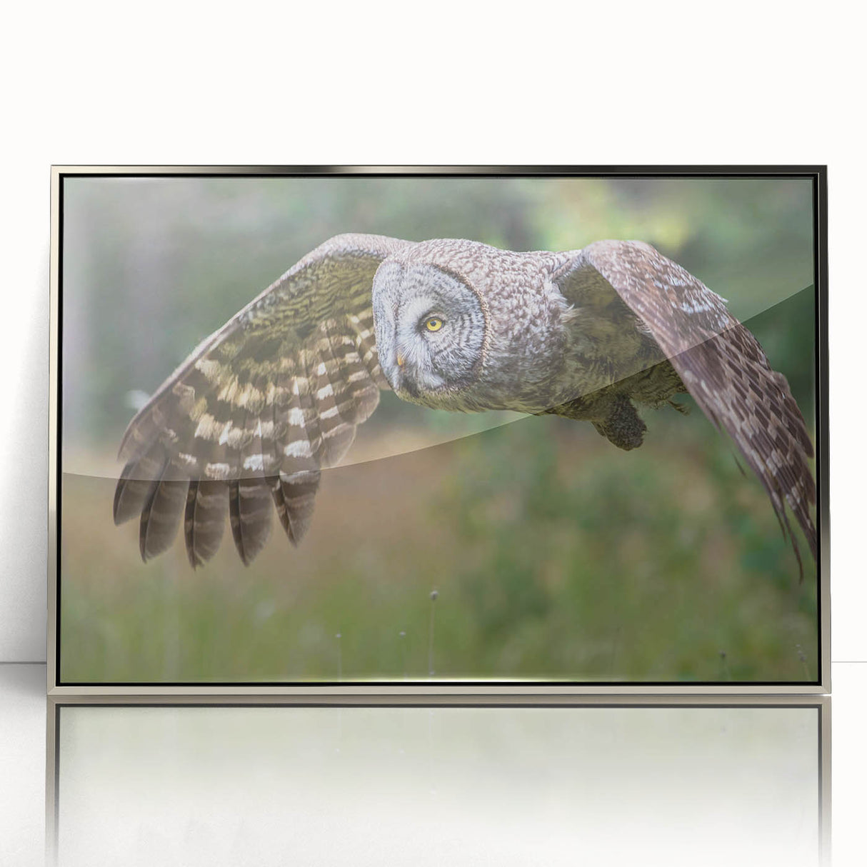 Framed wall art collection titled "Birds of Prey," showcasing a striking acrylic design with silver accents. Perfect for modern home decor, highlighting colorful avian imagery.