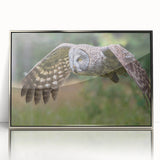Framed wall art collection titled "Birds of Prey," showcasing a striking acrylic design with silver accents. Perfect for modern home decor, highlighting colorful avian imagery.