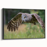 Framed wall art featuring a striking birds-of-prey design, showcasing vibrant colors and intricate details, set against a sleek black frame, ideal for modern decor.