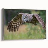 Framed canvas wall art from the Birds of Prey collection, showcasing a detailed silver design featuring majestic birds in flight, perfect for nature-inspired home decor.