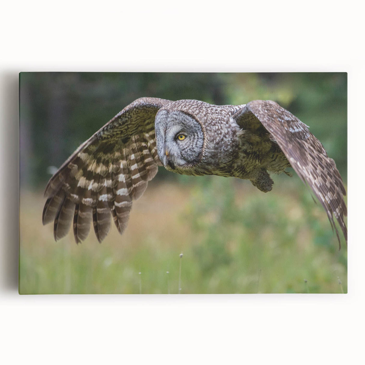 Stretched canvas wall art featuring a vibrant design of various birds, showcasing intricate details and colors, perfect for home decor and nature enthusiasts.
