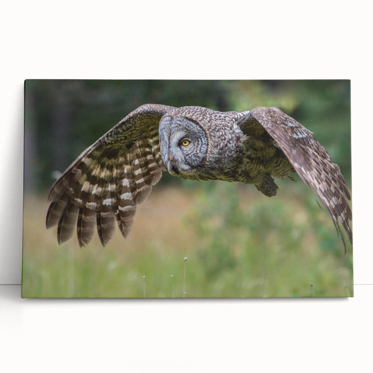 Stretched canvas wall art featuring a vibrant design of colorful birds, showcasing intricate details and textures, perfect for home decor enthusiasts.