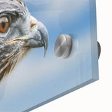 Close-up of vibrant acrylic wall art featuring a colorful bird design, showcasing intricate details and textures, perfect for enhancing any modern decor.