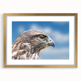 Framed wall art featuring a collection of birds with a gold mat border, ideal for home decor. This elegant design adds a touch of sophistication to any space.