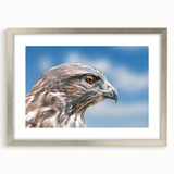 Wall art collection featuring a silver-framed design of birds in flight, elegantly matted for a polished look, perfect for enhancing modern home decor.