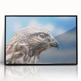 Framed acrylic wall art featuring a collection of birds in a vibrant, colorful design, set against a sleek black frame, perfect for enhancing modern home decor. This artwork showcases intricate details and vivid colors, ideal for bird enthusiasts and art lovers.