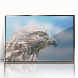 Framed wall art showcasing a collection of birds, designed with a modern aesthetic featuring silver acrylic framing, perfect for home decor and nature enthusiasts.