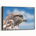 Framed wall art featuring a stunning birds of prey design on a textured canvas, showcasing vibrant colors and intricate details, ideal for nature enthusiasts and home decor.