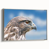 Framed wall art featuring a stunning design of birds of prey, showcasing intricate details and a silver frame, perfect for adding elegance to any decor.