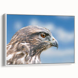 Framed canvas wall art featuring a vibrant birds of prey design, showcasing detailed illustrations of various raptors in a white frame, perfect for home decor.