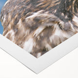 Colorful rolled canvas artwork showcasing a vibrant bird design with intricate details, perfect for home decor. The piece is packaged securely in a cardboard tube for safe delivery.