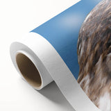 Vibrant rolled canvas artwork showcasing a striking birds of prey design, featuring rich colors and intricate details, ideal for enhancing home decor.