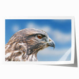 Rolled print showcasing a vibrant birds of prey design, featuring detailed illustrations of various raptors, ideal for wildlife enthusiasts and home decor.