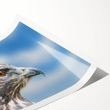 Vibrant rolled wall art print showcasing a detailed design of various birds, featuring bold colors and intricate patterns, perfect for nature-inspired decor.