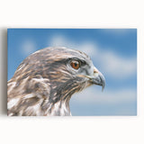 Vibrant wall art canvas featuring a majestic eagle in flight against a colorful abstract background, perfect for home decor or office accents.